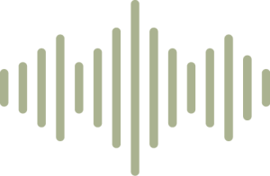 audio